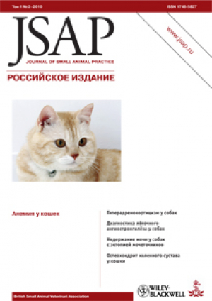 JSAP/Российское издание