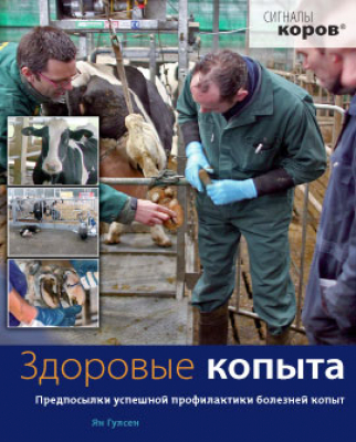 Здоровые копыта