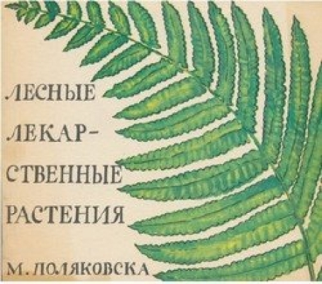 Лесные лекарственные растения