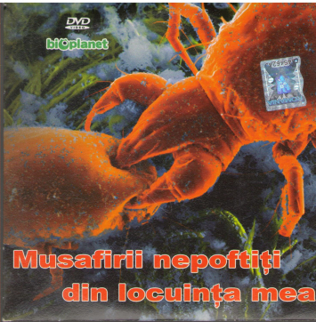 Musafirii nepoftiti din locuinta mea