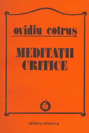 meditatii critice
