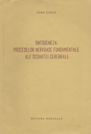 ontogeneza proceselor nervoase fundamentale ale scoartei cerebrale