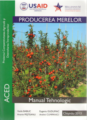 Producerea merelor