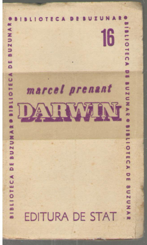 darwin