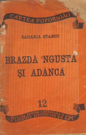 Brazda ngusta si adanca