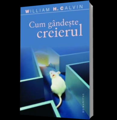 Cum gandeste creierul