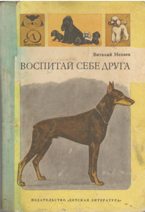 воспитай себе друга
