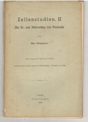 Zellenstudien II  Die Ei-und Nahrzellen von Piscicola von Max Jorgensen