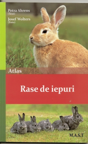 Rase de iepuri  Atlas