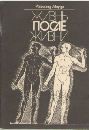 Жизнь после жизни