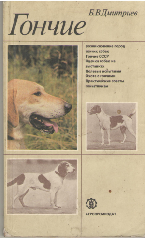 гончие