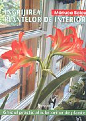 Ingrijirea plantelor de interior
