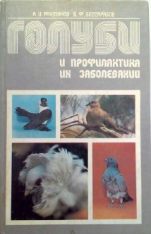 Голуби и профилактика их заболеваний