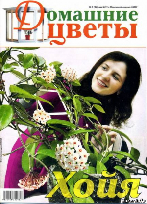 Домашние цветы