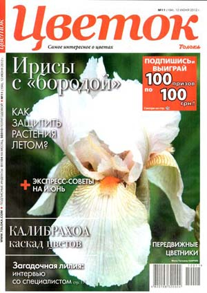 Толока. Цветок