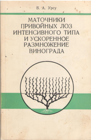 маточники привойных лоз интенсивного типа и ускоренное размножение винограда