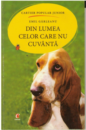 Din lumea celor care nu cuvântă