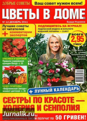 Цветы в доме
