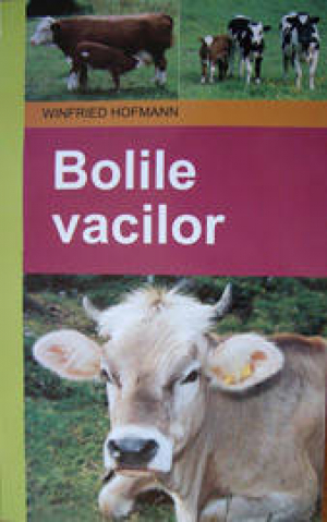 Bolile vacilor