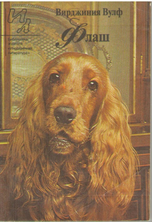 Флаш
