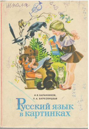 Русский язык в картинках