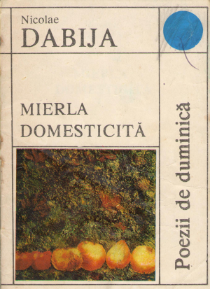 mierla domesticita