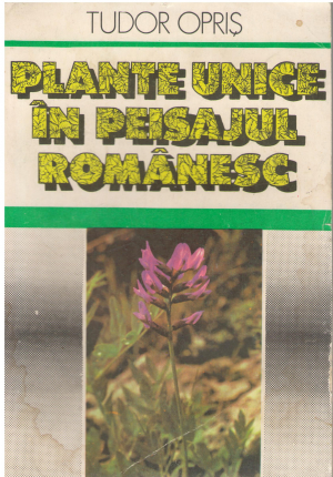 plante unice in peisajul romanesc