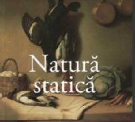 Natura statica