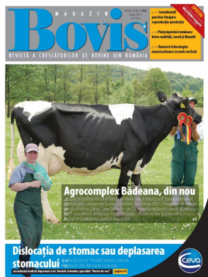 Bovis Magazin