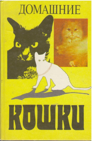 Домашние кошки