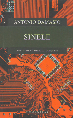 sinele construirea creierului constient
