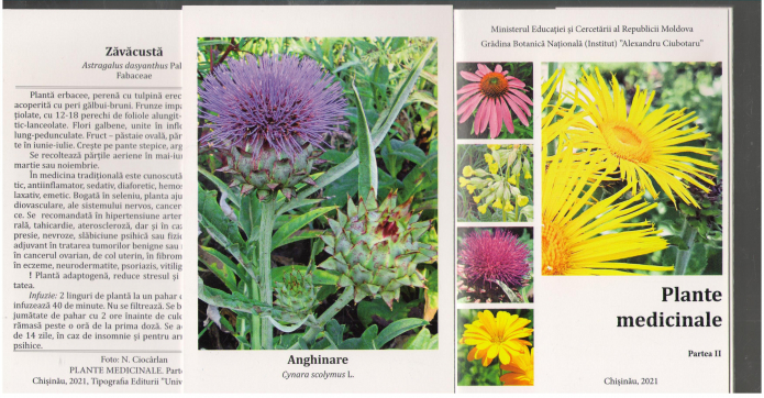 plante medicinale 25 carti postale