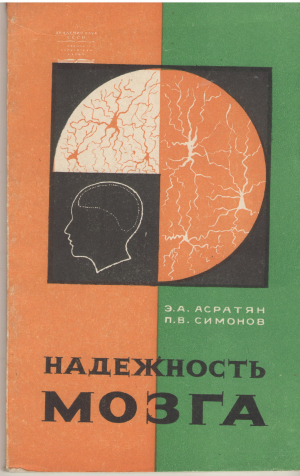 Надежность мозга