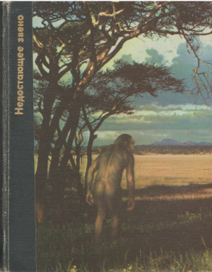 недостающее звено the missing link