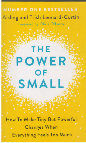 The Power of Small Making Tiny But Powerful Changes When Everything Feels Too Much