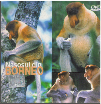 Nasosul din Borneo DVD