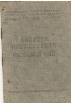 Булетинул професионал
