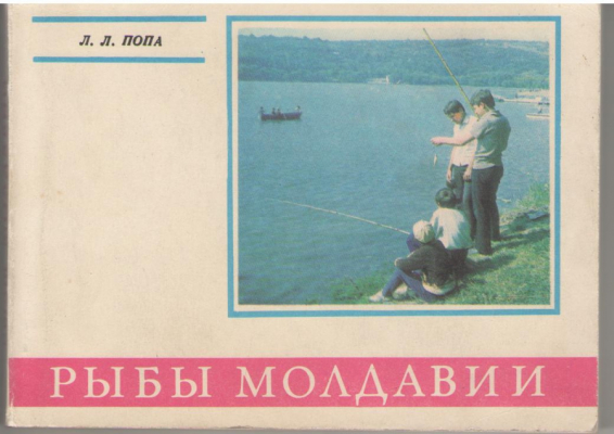 Рыбы Молдавии  Справочник - определитель