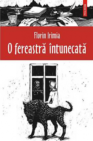 O fereastra intunecata