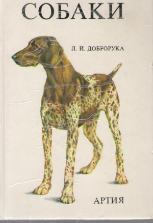 Собаки