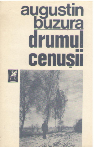 Drumul cenusii