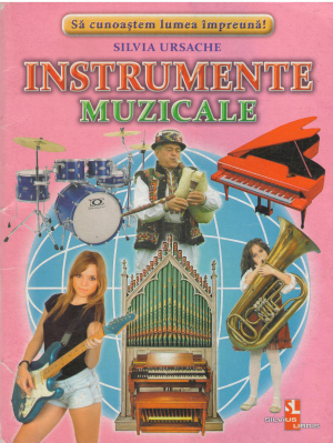 instrumente muzicale 16 cartonase cu imagini color si texte informative