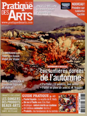 Pratique des Arts